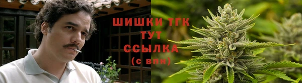 молекула духа Балахна