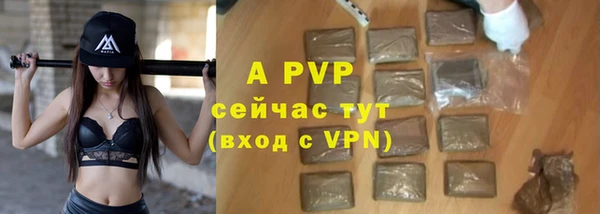 молекула духа Балахна