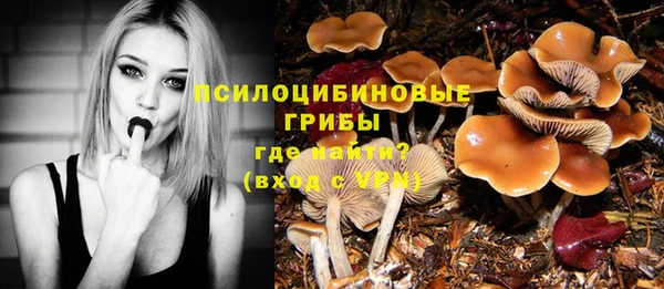 молекула духа Балахна