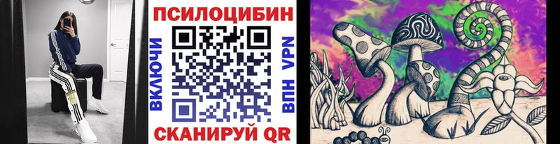 даркнет сайт  Дигора  Галлюциногенные грибы MAGIC MUSHROOMS 